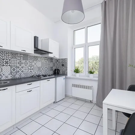 דירה Monochrome Rosettes-1Br For 2-Old Town קרקוב